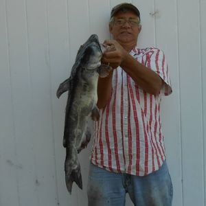 Meet your Posher, Greg